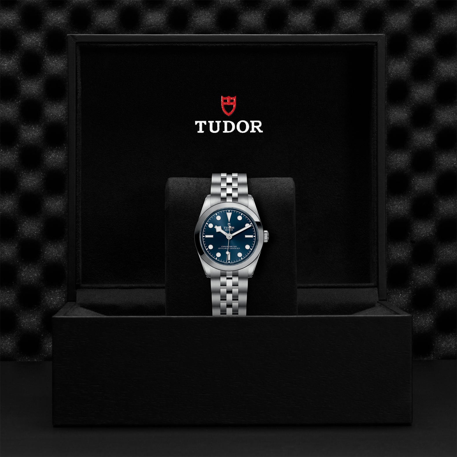 TUDOR Watch TUDOR Black Bay 31mm Steel Case, Steel Strap (M79600-0002)