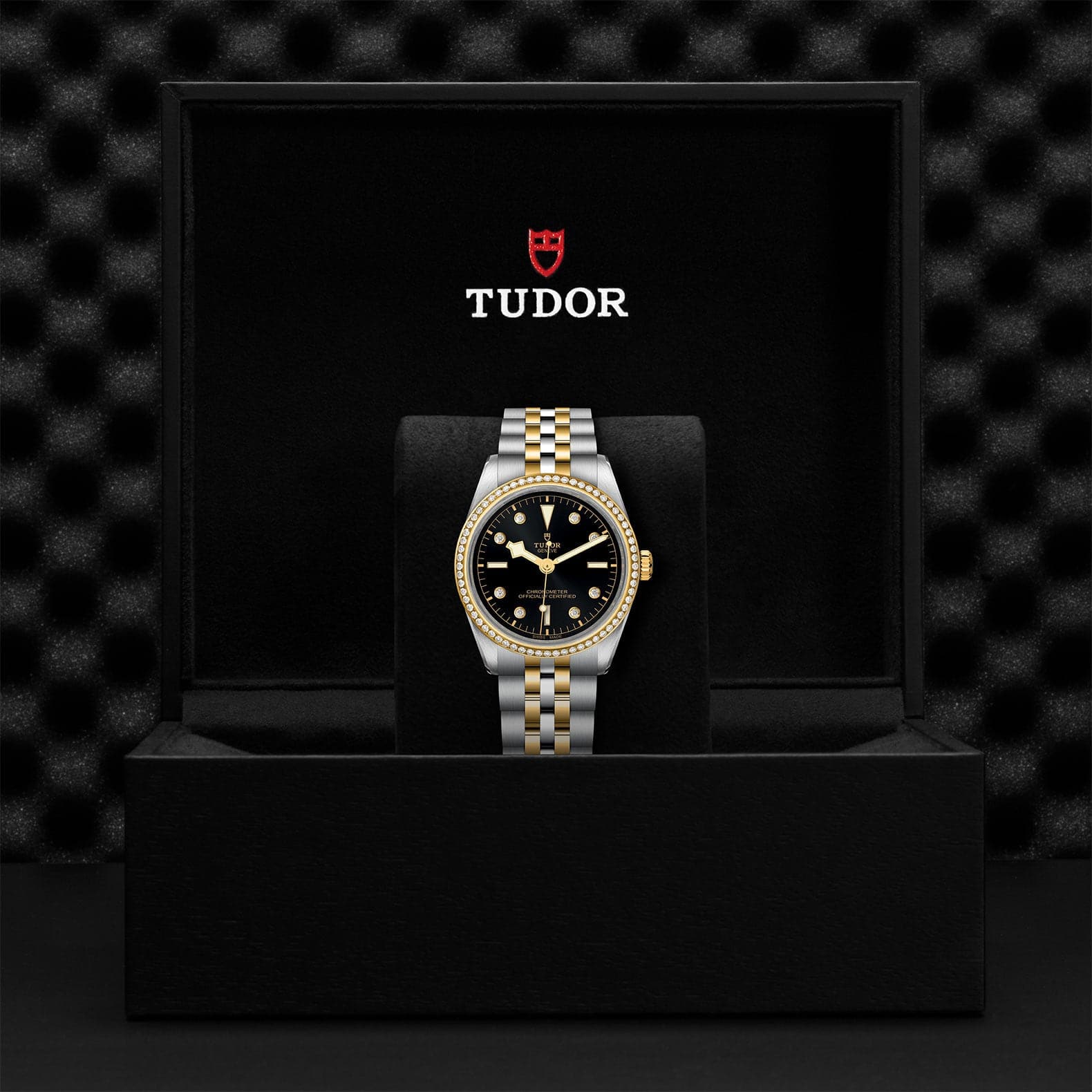 TUDOR Watch TUDOR Black Bay 36mm Steel Case, Steel and Yellow Gold Strap (M79653-0005)