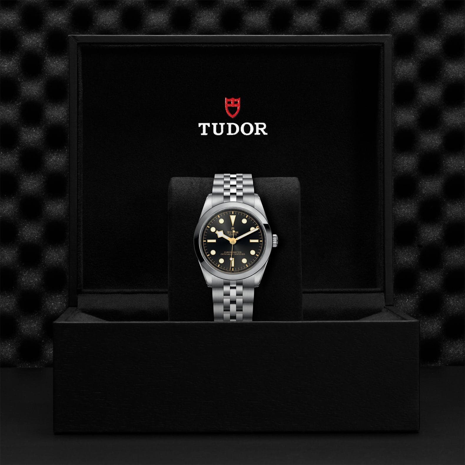 TUDOR Black Bay 39mm Case, Light Champagne Dial, Steel Strap 