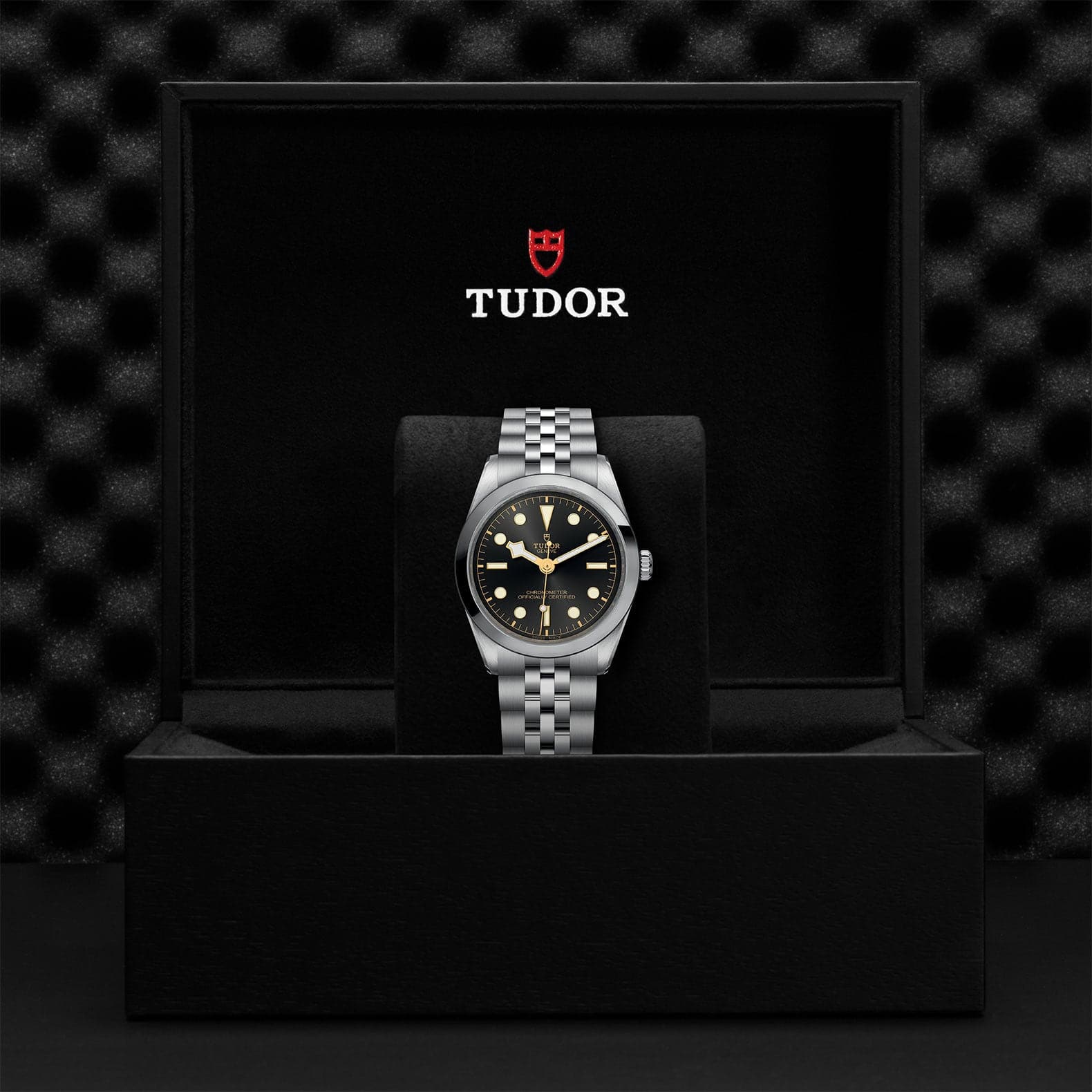 TUDOR Watch TUDOR Black Bay 36mm Steel Case, Steel Strap (M79640-0001)