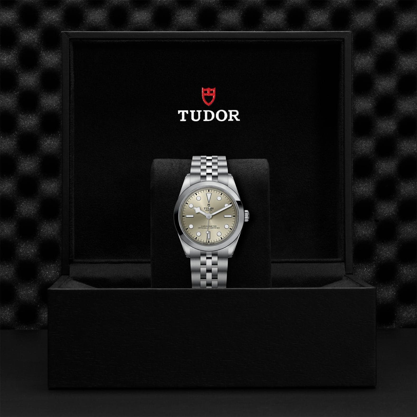 TUDOR Watch TUDOR Black Bay 36mm Steel Case, Steel Strap (M79640-0003)