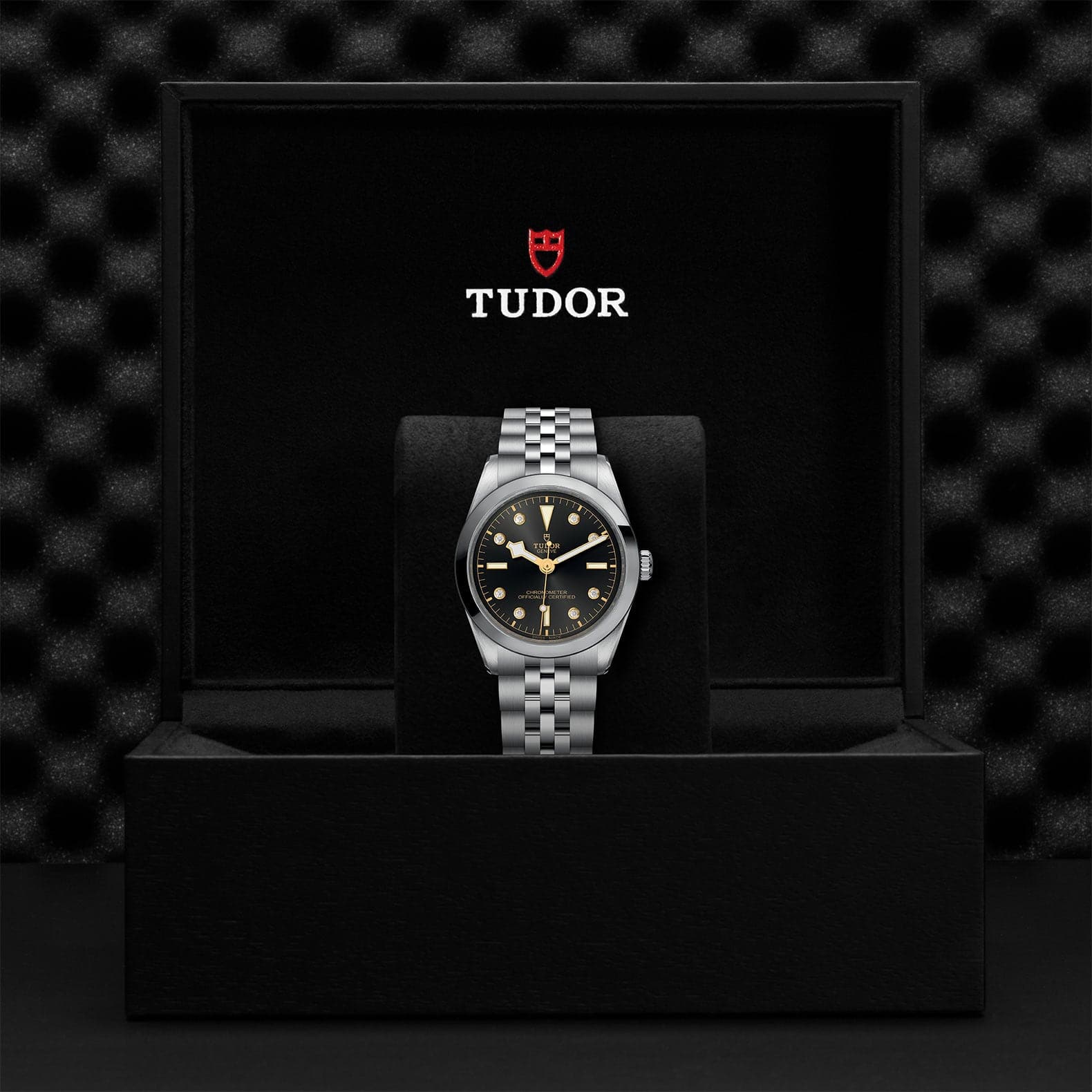 高級TUDOR レザーケース ブラック Black Bay 58 925 ウォッチ - m79010sg-0002 | チューダー ウォッチ