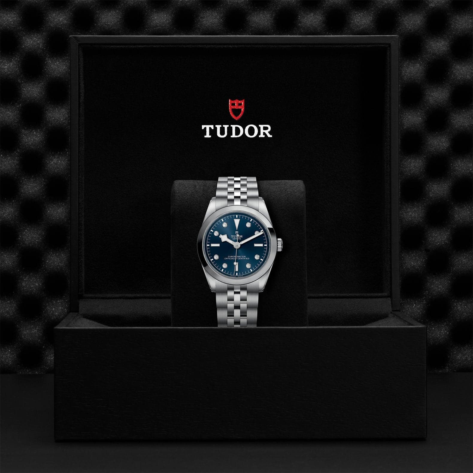 TUDOR Watch TUDOR Black Bay 36mm Steel Case, Steel Strap (M79640-0005)
