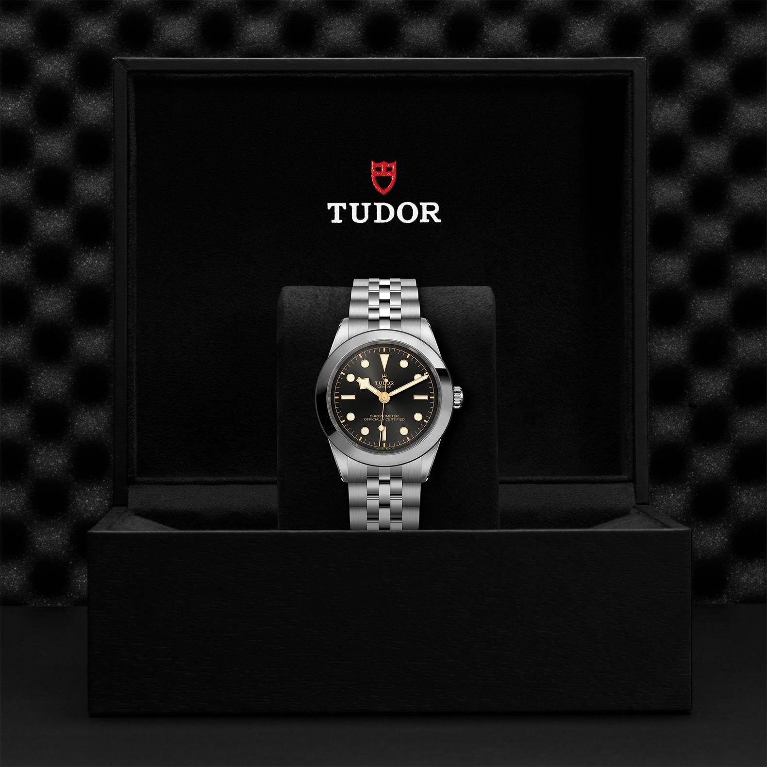 TUDOR Watch TUDOR Black Bay 39mm Steel Case, Steel Strap (M79660-0001)