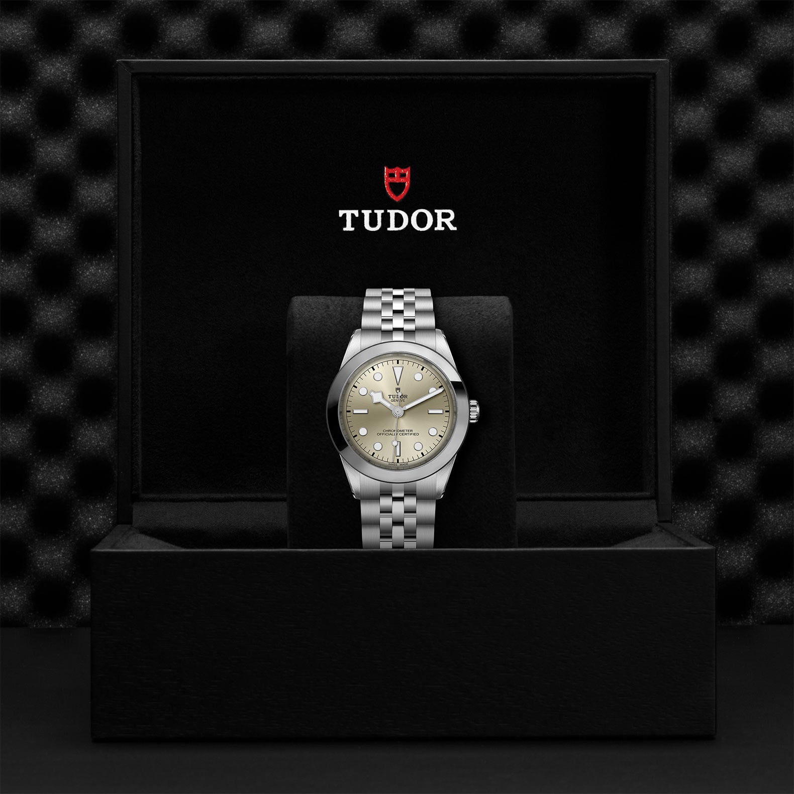 TUDOR Black Bay 39mm Case, Light Champagne Dial, Steel Strap
