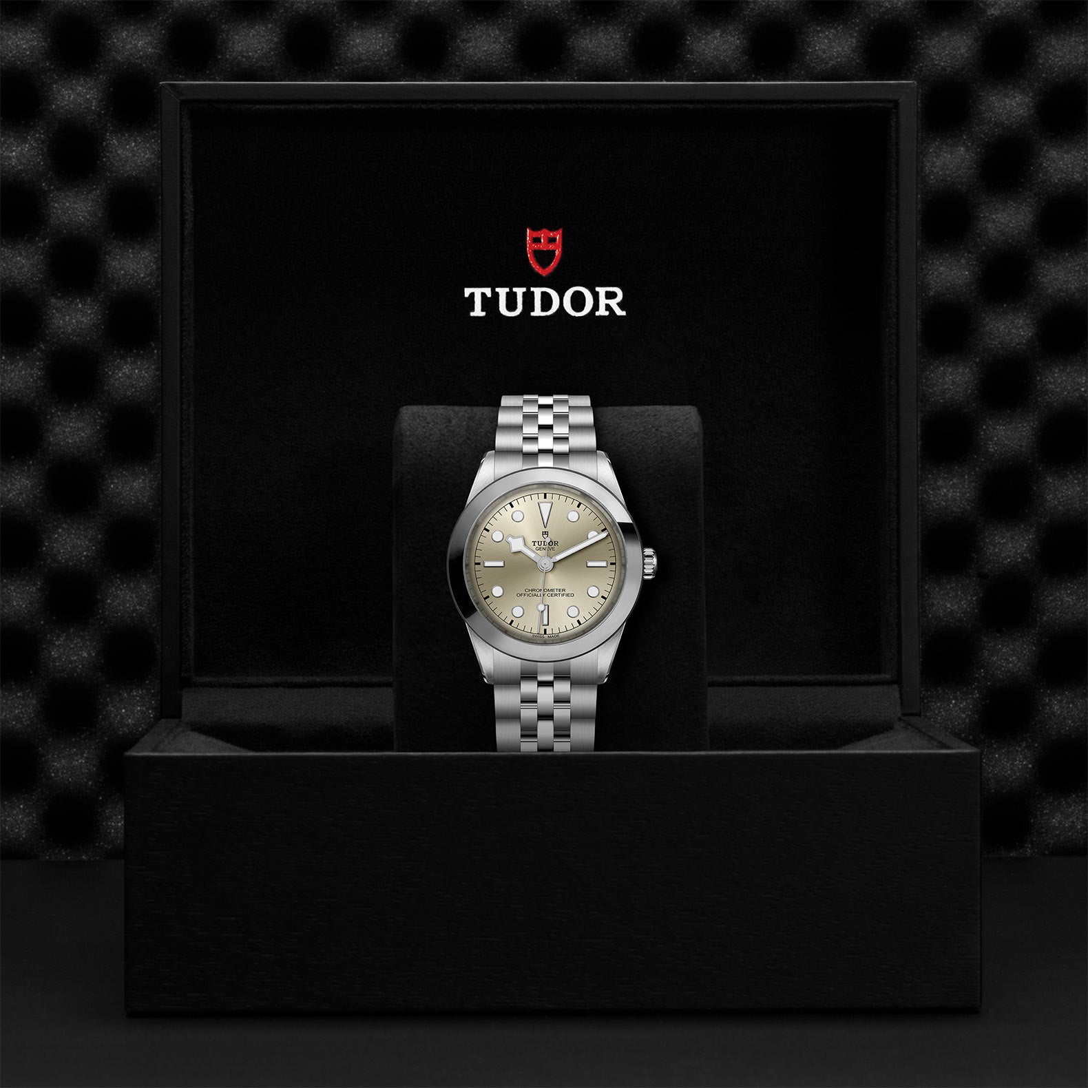 TUDOR Watch TUDOR Black Bay 39mm Steel Case, Steel Strap (M79660-0003)