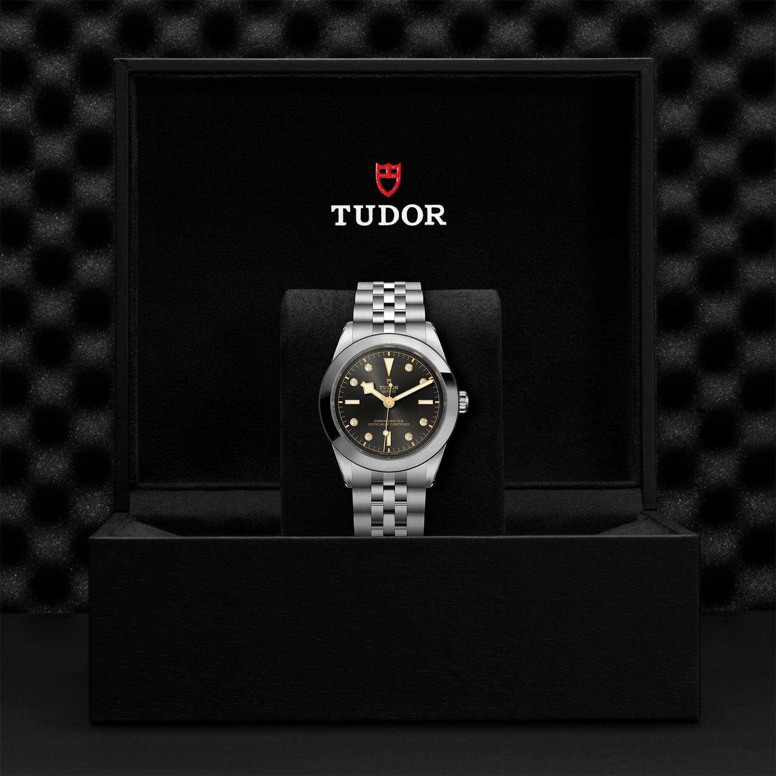 TUDOR Watch TUDOR Black Bay 39mm Steel Case, Steel Strap (M79660-0004)