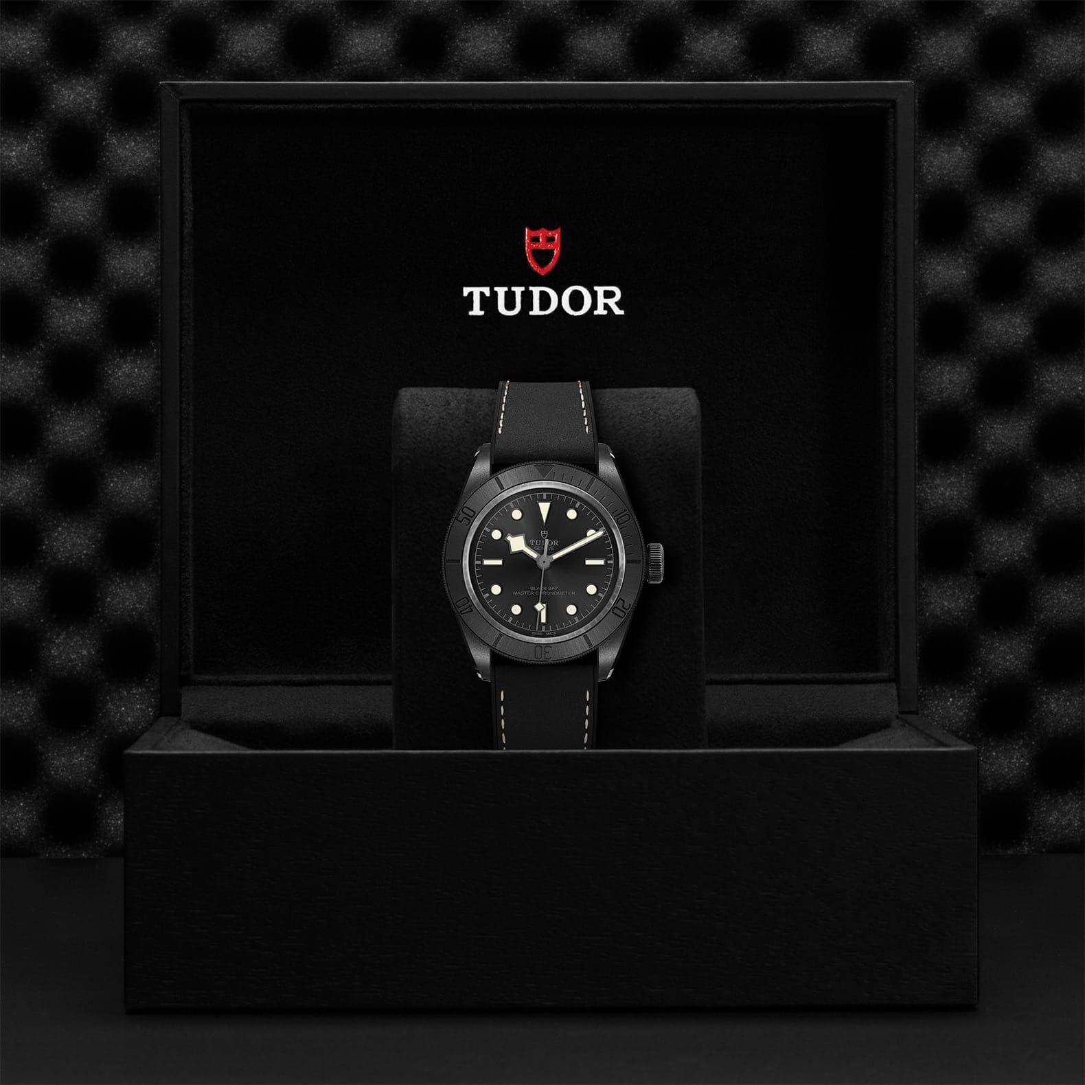 TUDOR Watch TUDOR Black Bay 41mm Ceramic Case, Hybrid Leather and Rubber Strap (M79210CNU-0001)