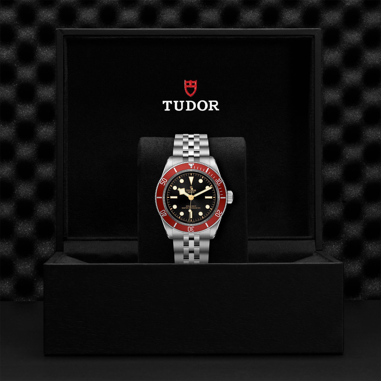 TUDOR Watch TUDOR Black Bay 41mm Steel Case, Steel Bracelet (M7941A1A0RU-0003)