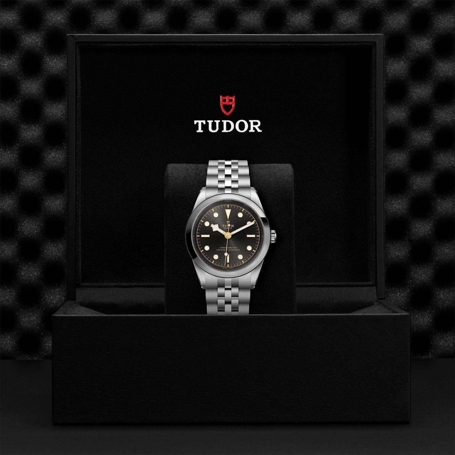 TUDOR Watch TUDOR Black Bay 41mm Steel Case, Steel Strap (M79680-0001)