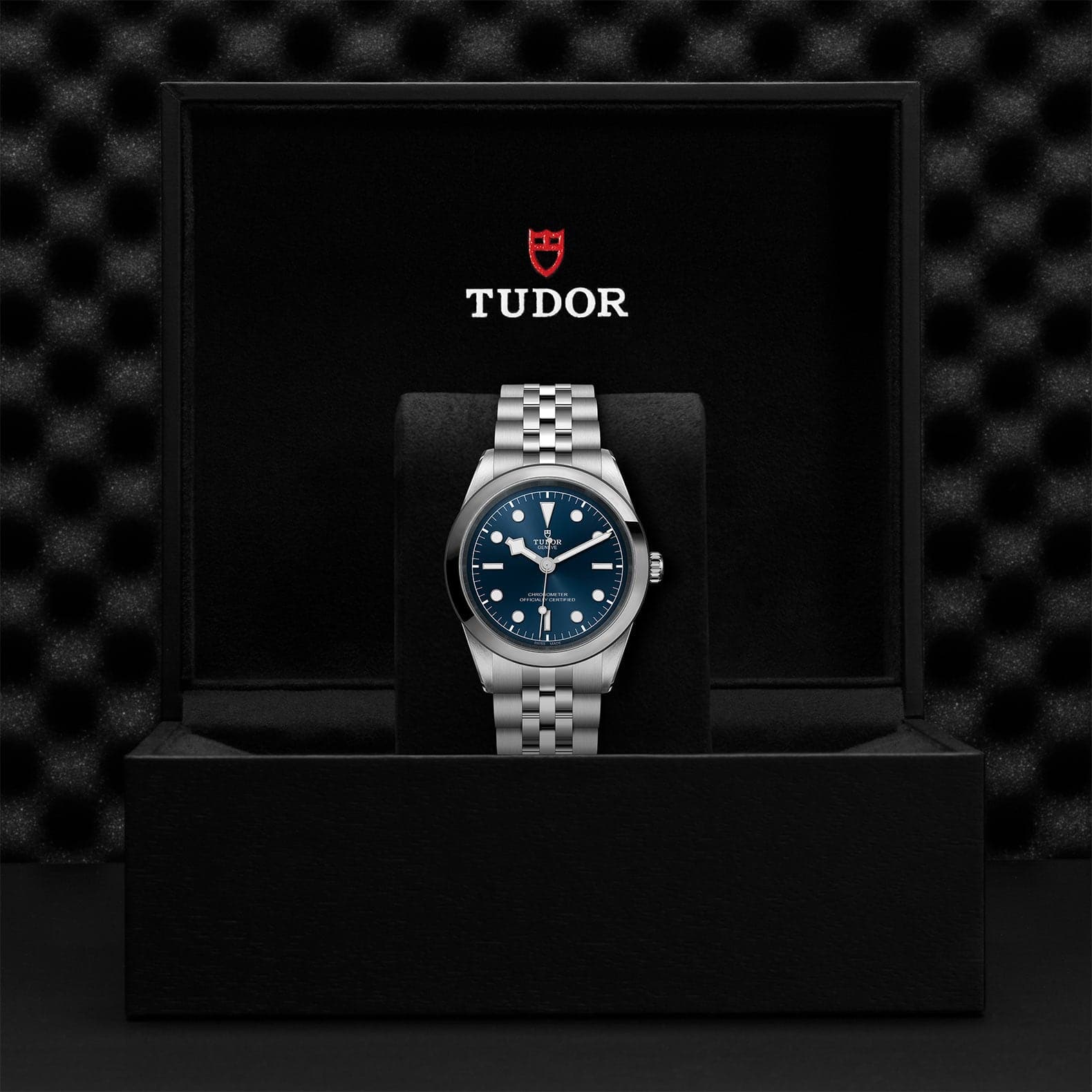 TUDOR Watch TUDOR Black Bay 41mm Steel Case, Steel Strap (M79680-0002)