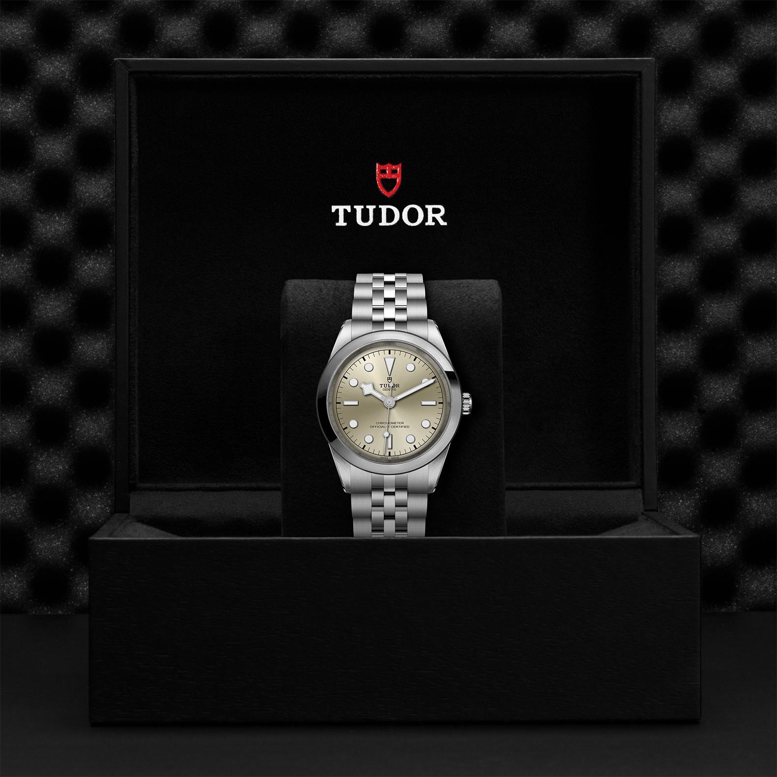 TUDOR Watch TUDOR Black Bay 41mm Steel Case, Steel Strap (M79680-0003)