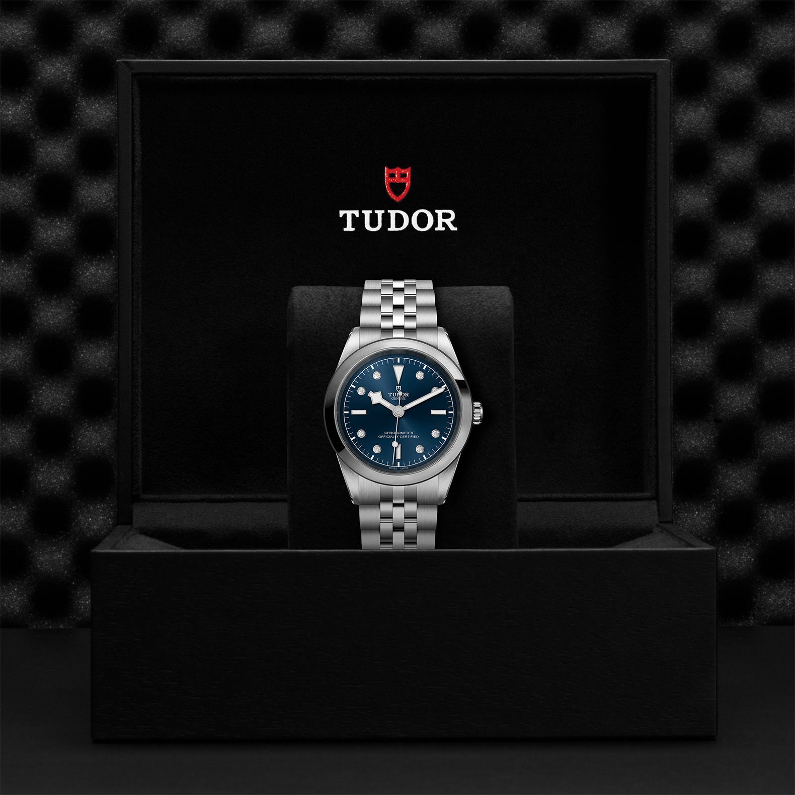 TUDOR Watch TUDOR Black Bay 41mm Steel Case, Steel Strap (M79680-0005)