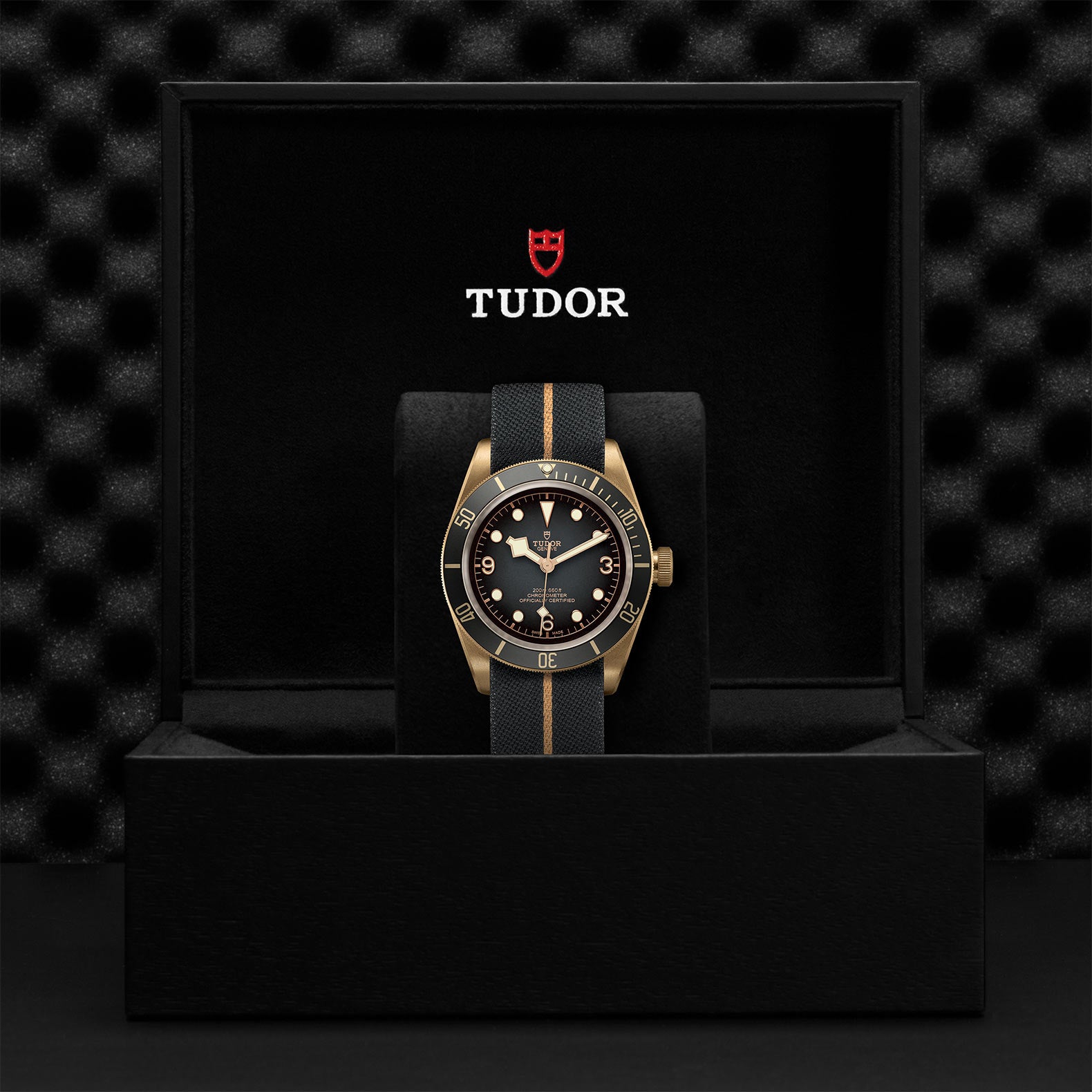 TUDOR Watch TUDOR Black Bay 43mm Bronze Case, Fabric Strap (M79250BA-0002)