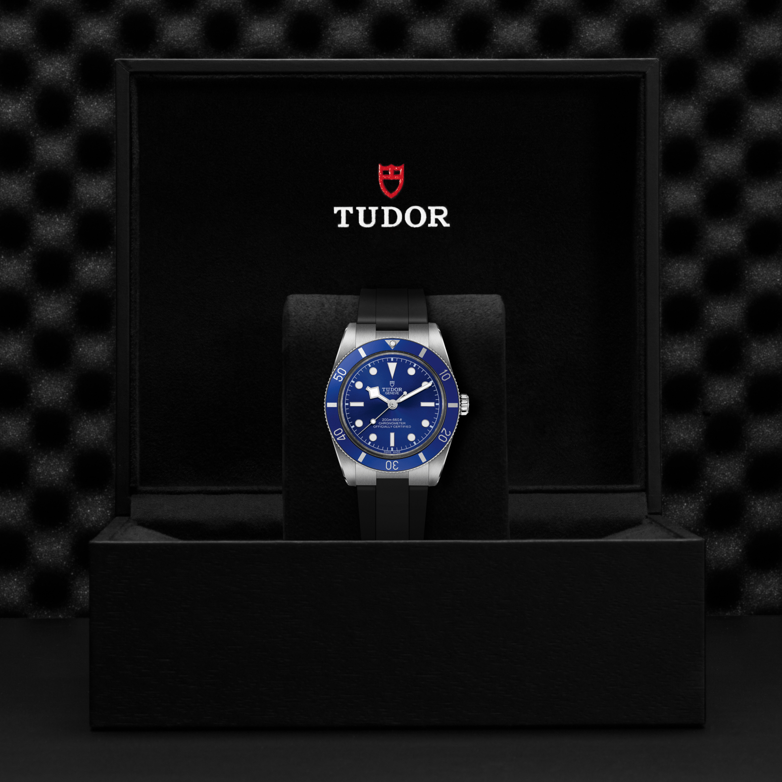 TUDOR Watch TUDOR Black Bay 54 37mm Blue Dial, Rubber Bracelet (M79000B-0002)