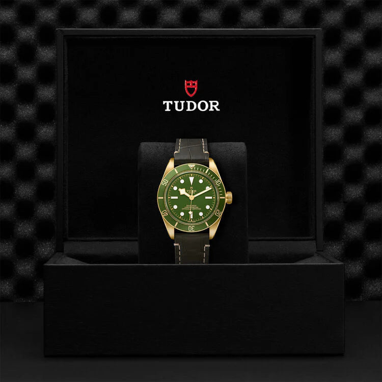 TUDOR Watch TUDOR Black Bay 58 18K 39mm Yellow Gold Case, Green Dial, Brown Alligator Strap (M79018V-0001)