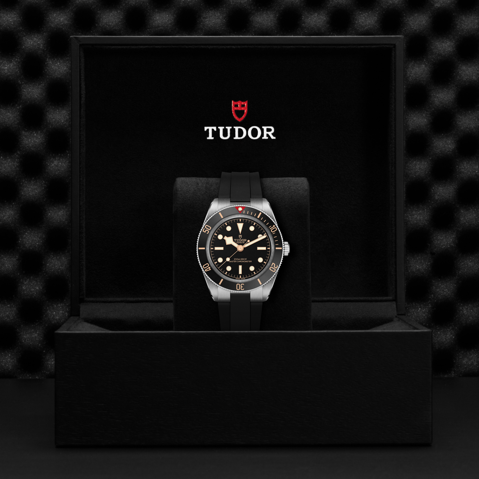 TUDOR Watch TUDOR Black Bay 58 39mm Black Dial, Rubber Bracelet (M7939A1A0NU-0003)