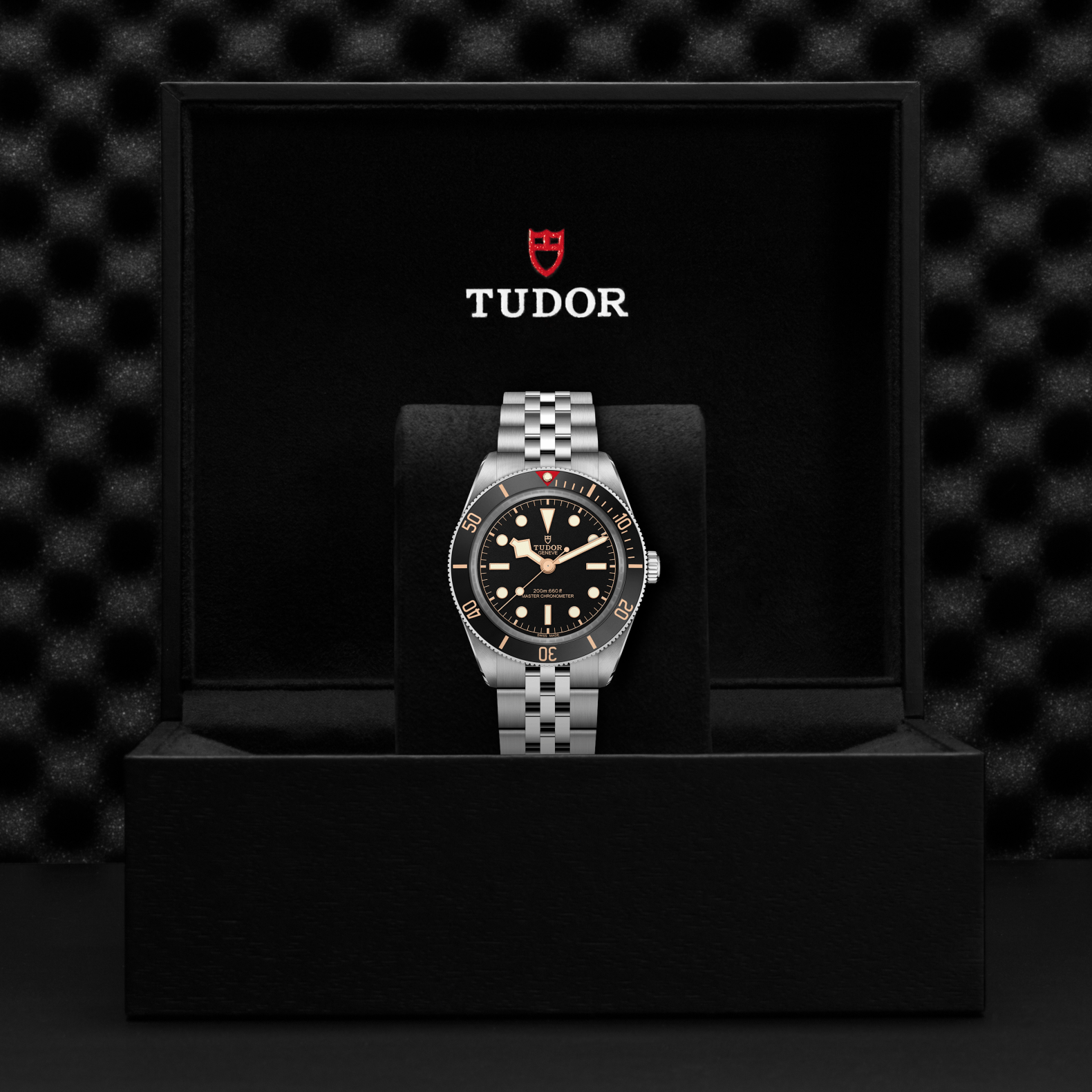TUDOR Watch TUDOR Black Bay 58 39mm Black Dial, Stainless Steel Bracelet (M7939A1A0NU-0001)