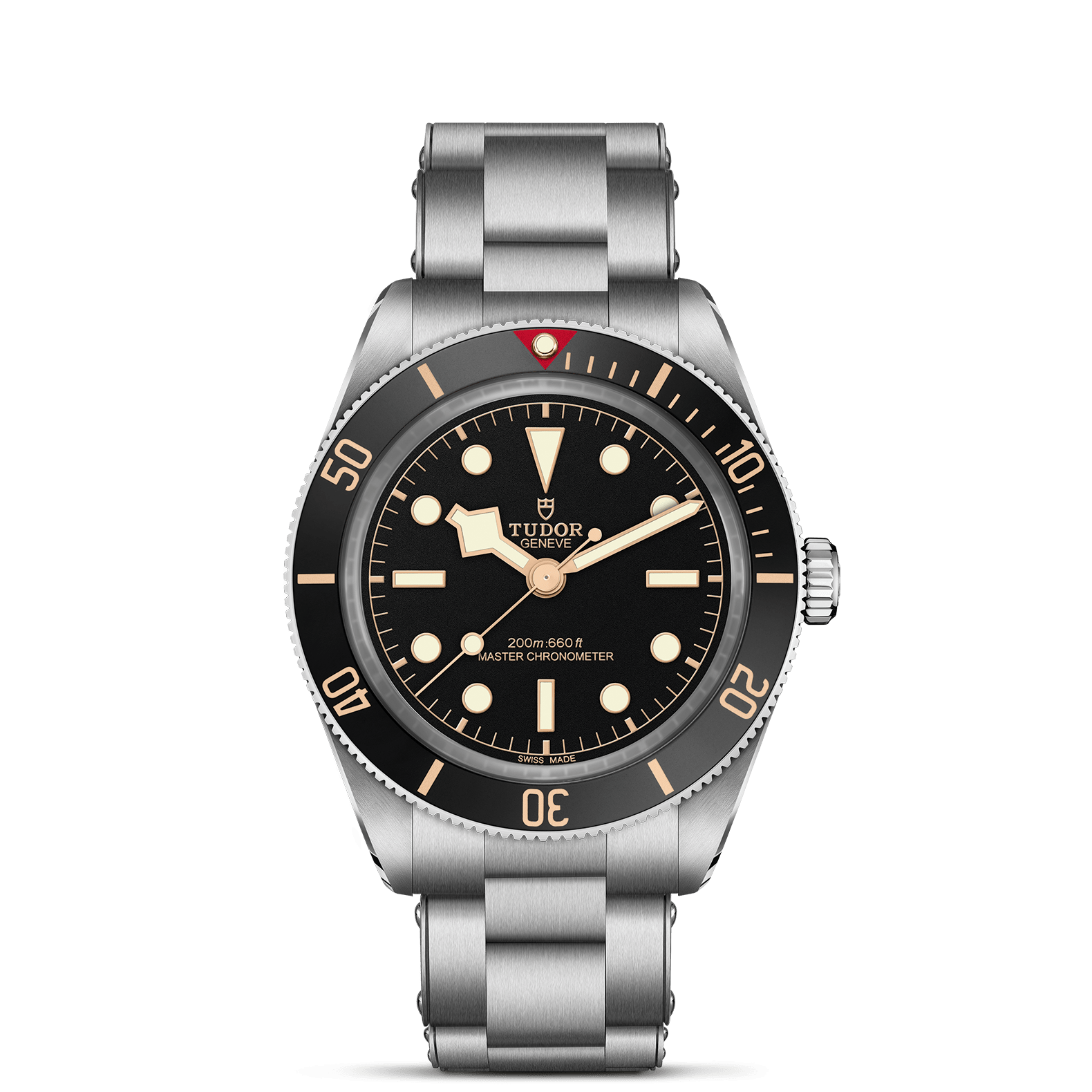 TUDOR Pelagos 42mm Case, Black Dial, Titanium Bracelet (M25610TNL TUDOR Pelagos 42mm Case, Black Dial, Titanium Bracelet (M25610TNL