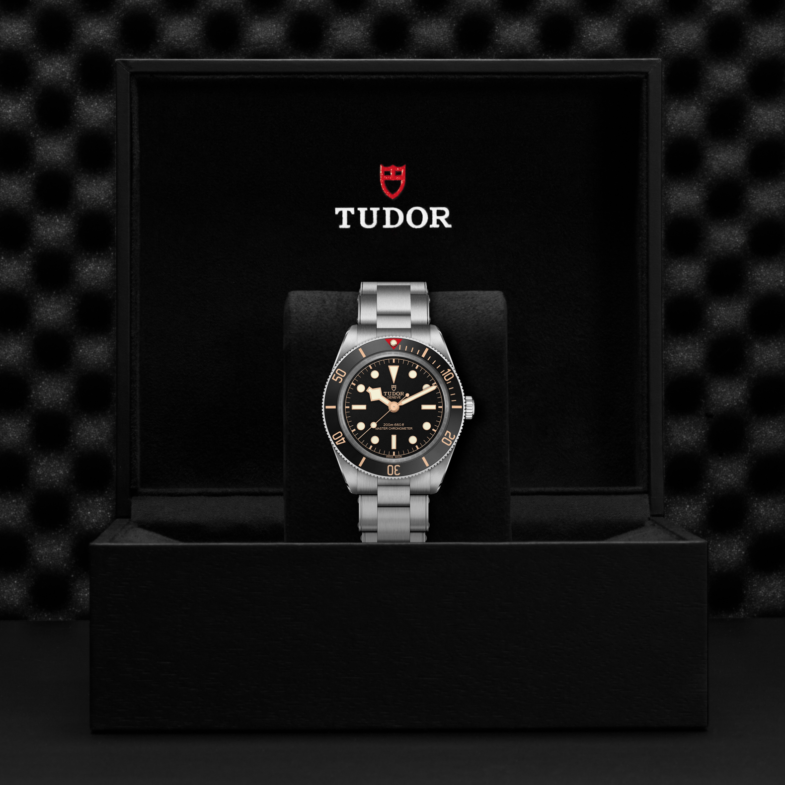TUDOR Watch TUDOR Black Bay 58 39mm Black Dial, Stainless Steel Bracelet (M7939A1A0NU-0002)