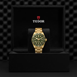 TUDOR Watch TUDOR Black Bay 58 39mm Green Dial, 18K Yellow Gold Bracelet (M79018V-0006)