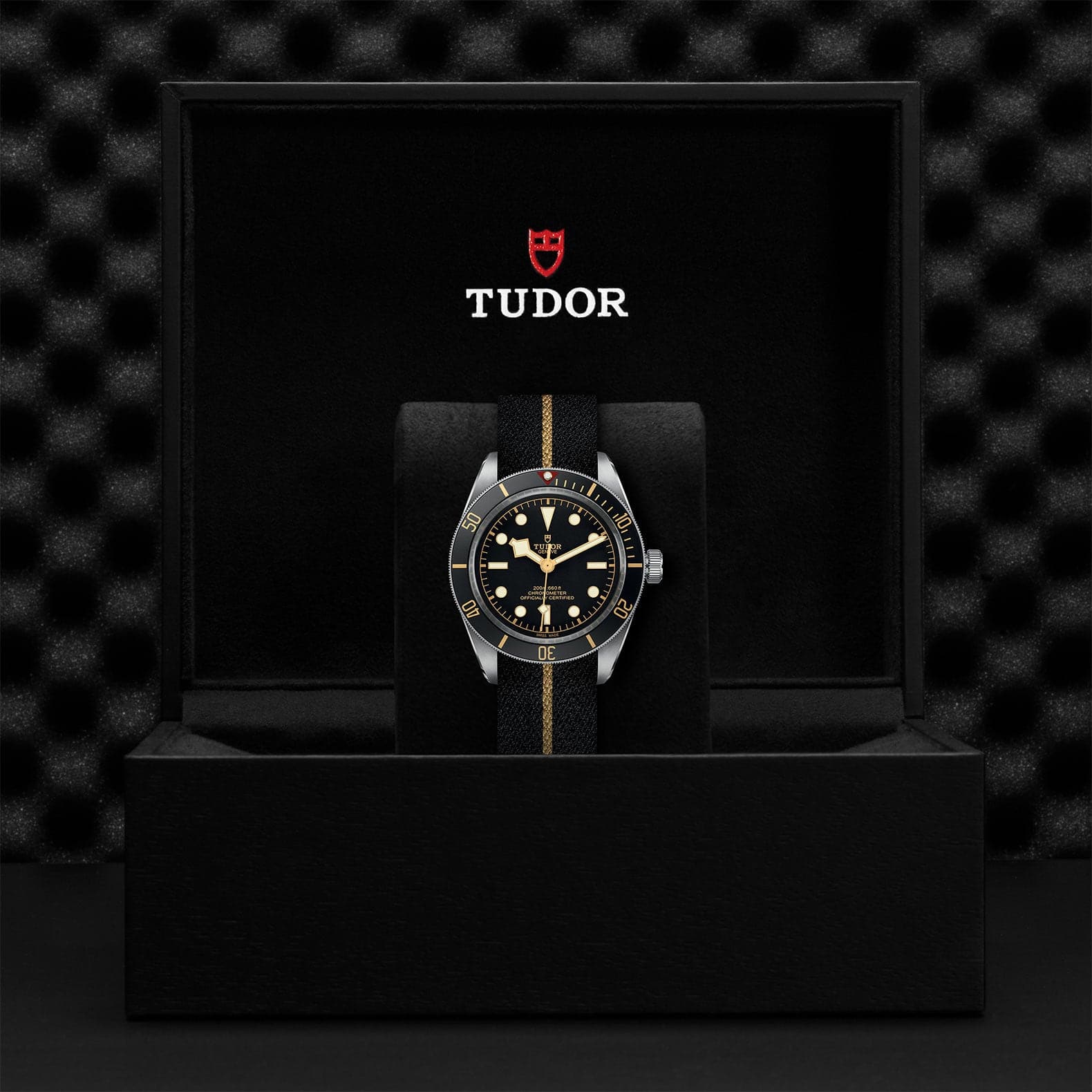 TUDOR Watch TUDOR Black Bay 58 39mm Steel Case, Fabric Leather Strap (M79030N-0003)