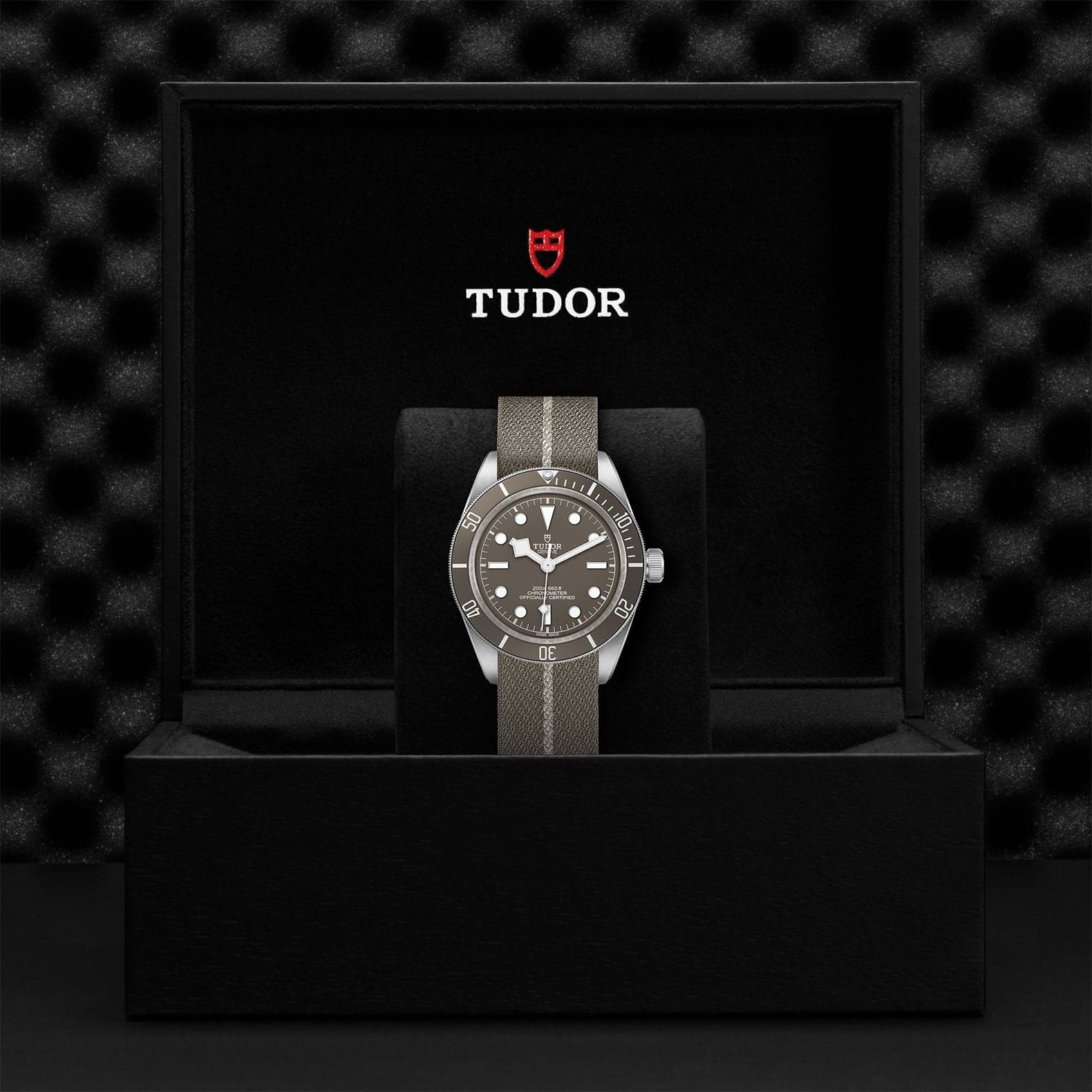 TUDOR Watch TUDOR Black Bay 58 925 39mm Silver Case, Taupe Fabric Strap (M79010SG-0002)
