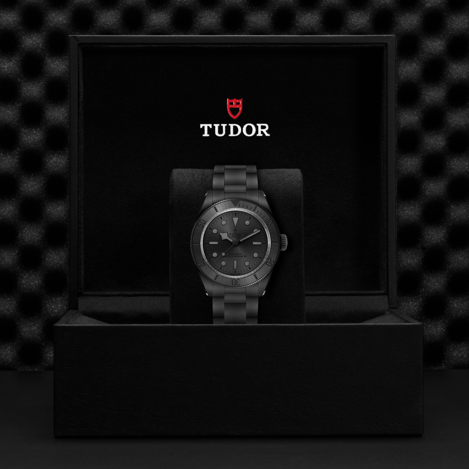 TUDOR Watch TUDOR Black Bay Ceramic 41mm Black Dial, Ceramic Bracelet (M7941A1ACNU-0001)