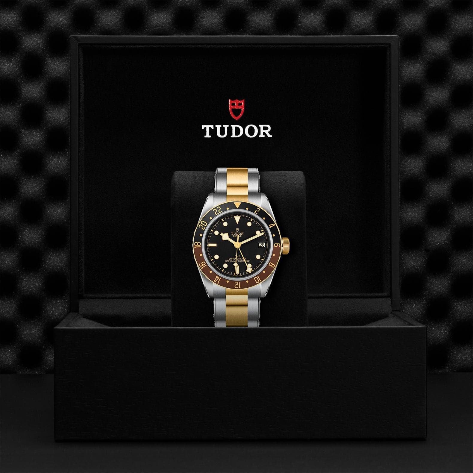 TUDOR Watch TUDOR Black Bay GMT 41mm Steel Case, Steel and Yellow Gold Bracelet (M79833MN-0001)