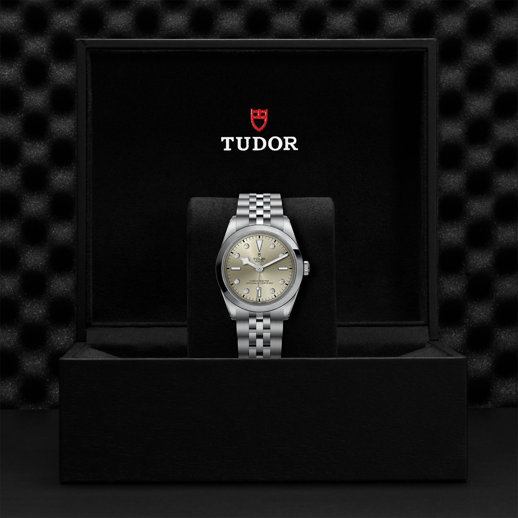 TUDOR Watch TUDOR Black Bay One 36mm Champagne Diamond Dial, Stainless Steel Bracelet (M79640-0006)
