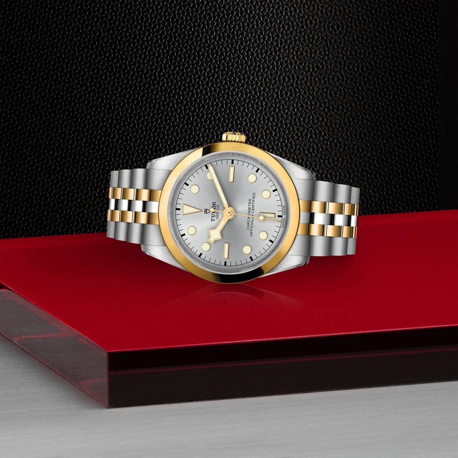 TUDOR Watch TUDOR Black Bay One 36mm S&G Silver Dial, Two Tone Bracelet (M79643-0002)