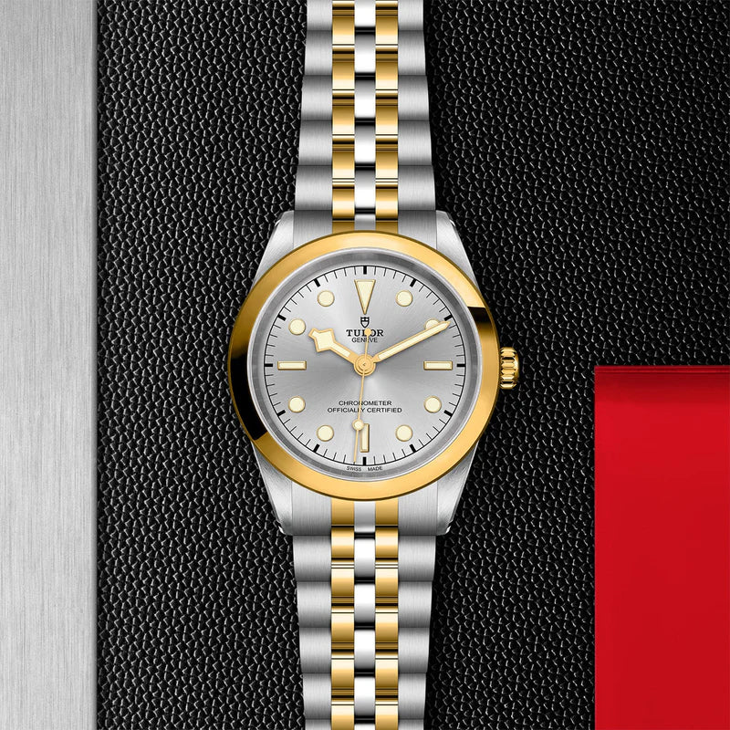 TUDOR Watch TUDOR Black Bay One 36mm S&G Silver Dial, Two Tone Bracelet (M79643-0002)