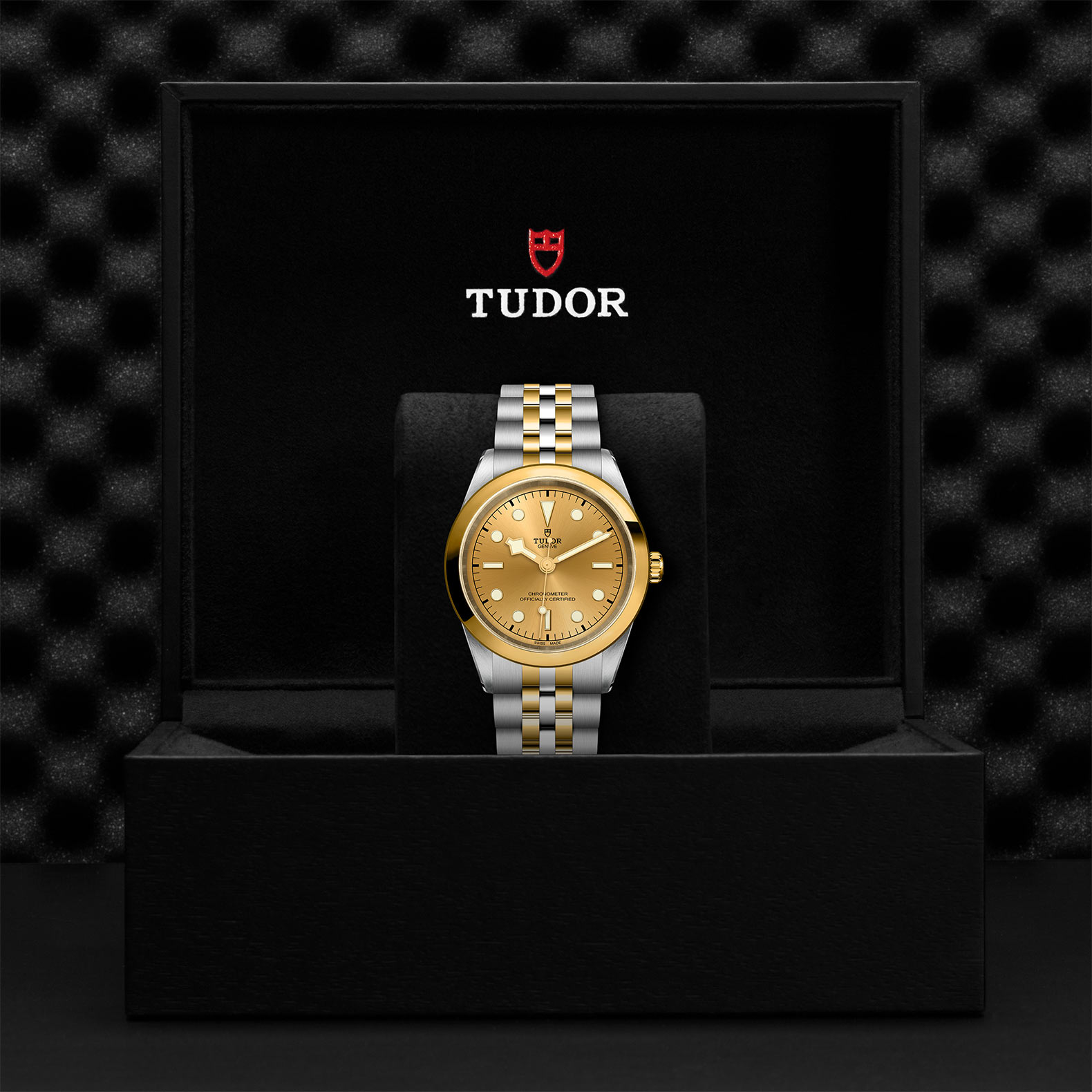 TUDOR Watch TUDOR Black Bay One 41mm S&G Champagne Dial, Two Tone Bracelet (M79683-0005)