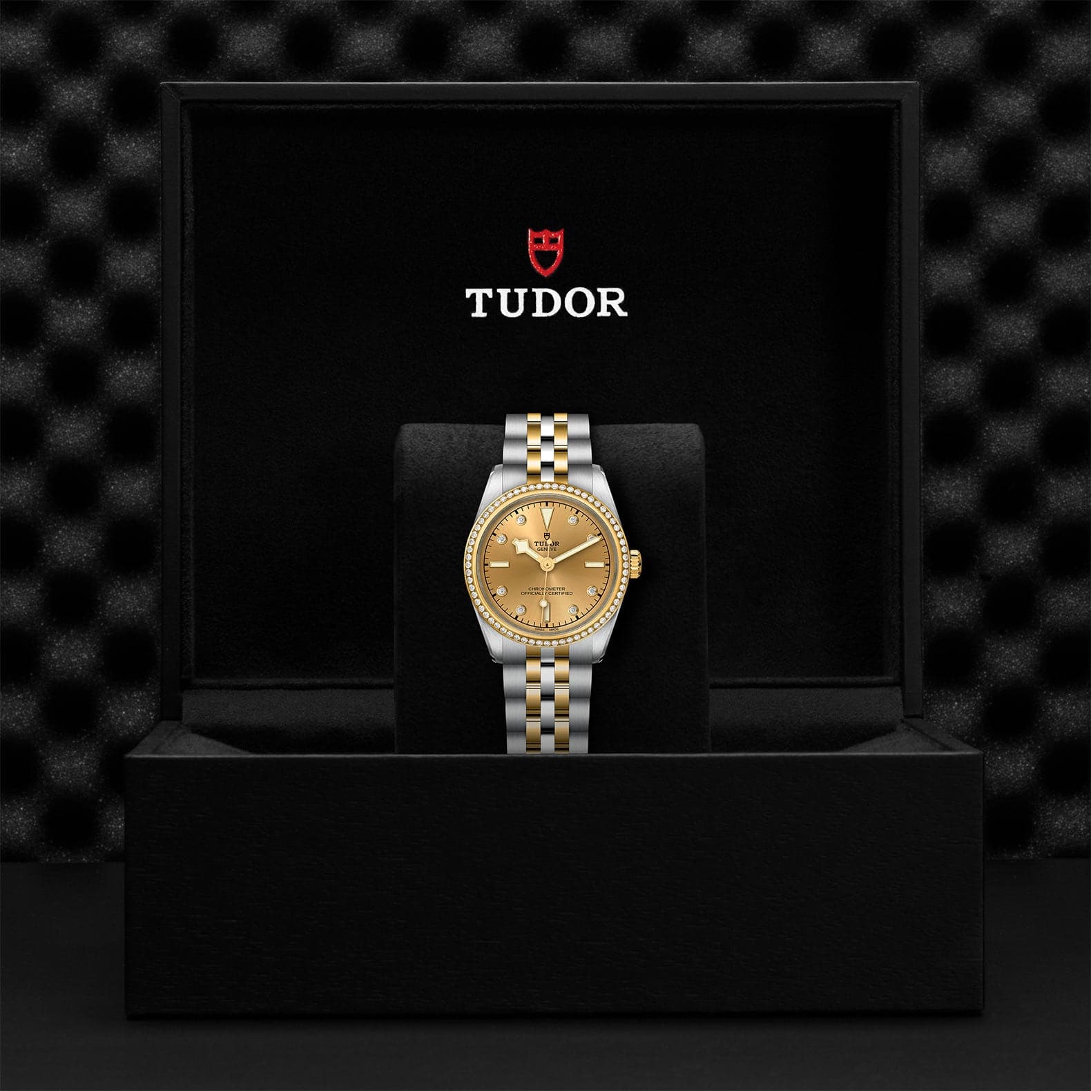 TUDOR Watch TUDOR Black Bay S&G 31mm Steel Case, Steel and Yellow Gold Bracelet (M79613-0007)