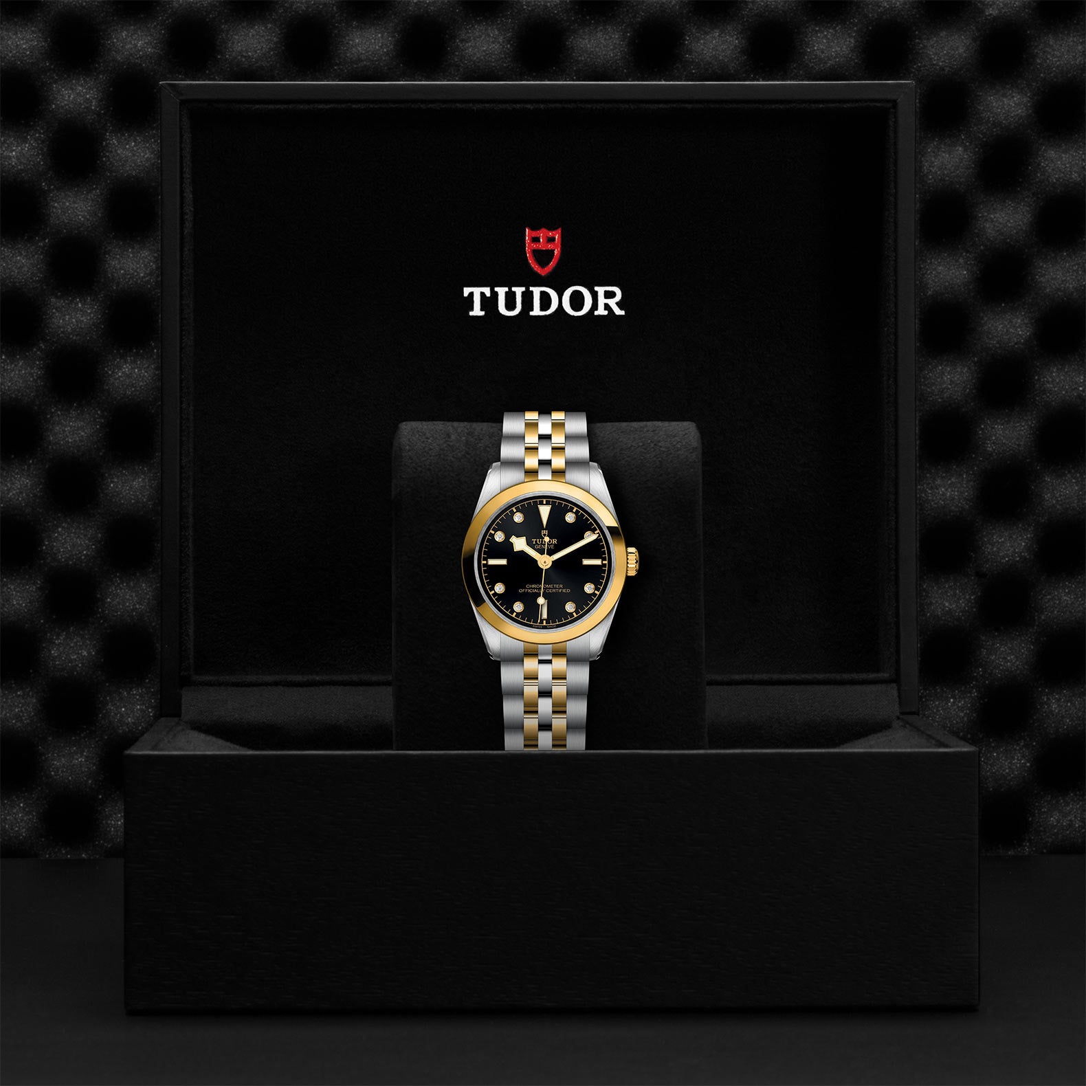 TUDOR Watch TUDOR Black Bay S&G 31mm Steel Case, Steel & Yellow Gold Strap (M79603-0006)
