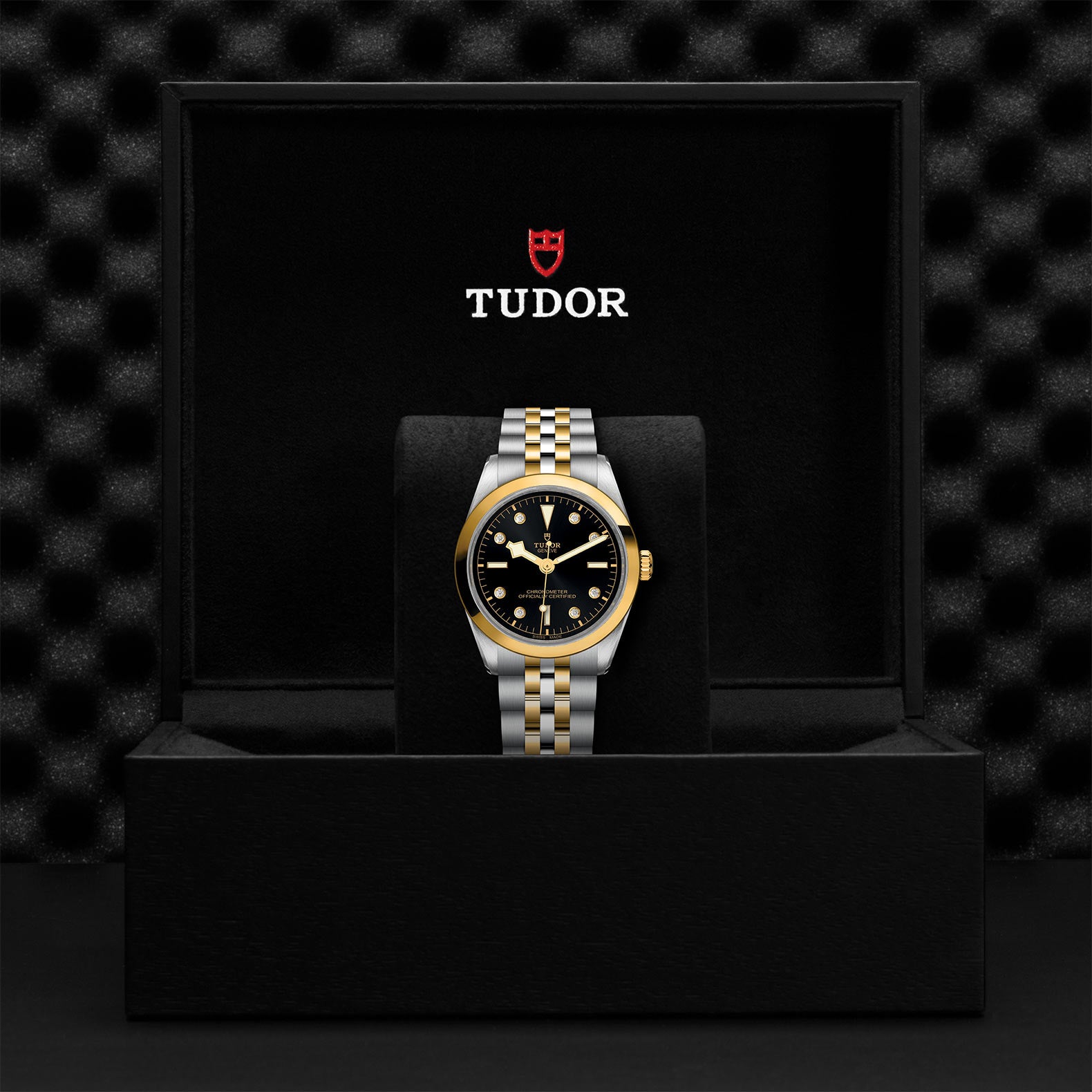 TUDOR Watch TUDOR Black Bay S&G 36mm Steel Case, Diamond Dial, Steel & Yellow Gold Bracelet (M79643-0006)