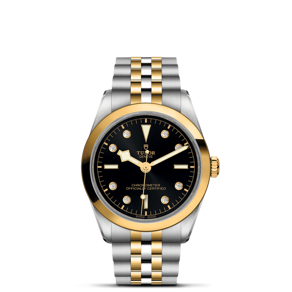 hiroJUTTA NEUMANN HERMES D7 tudor-tudor-black-bay-s-g-36mm