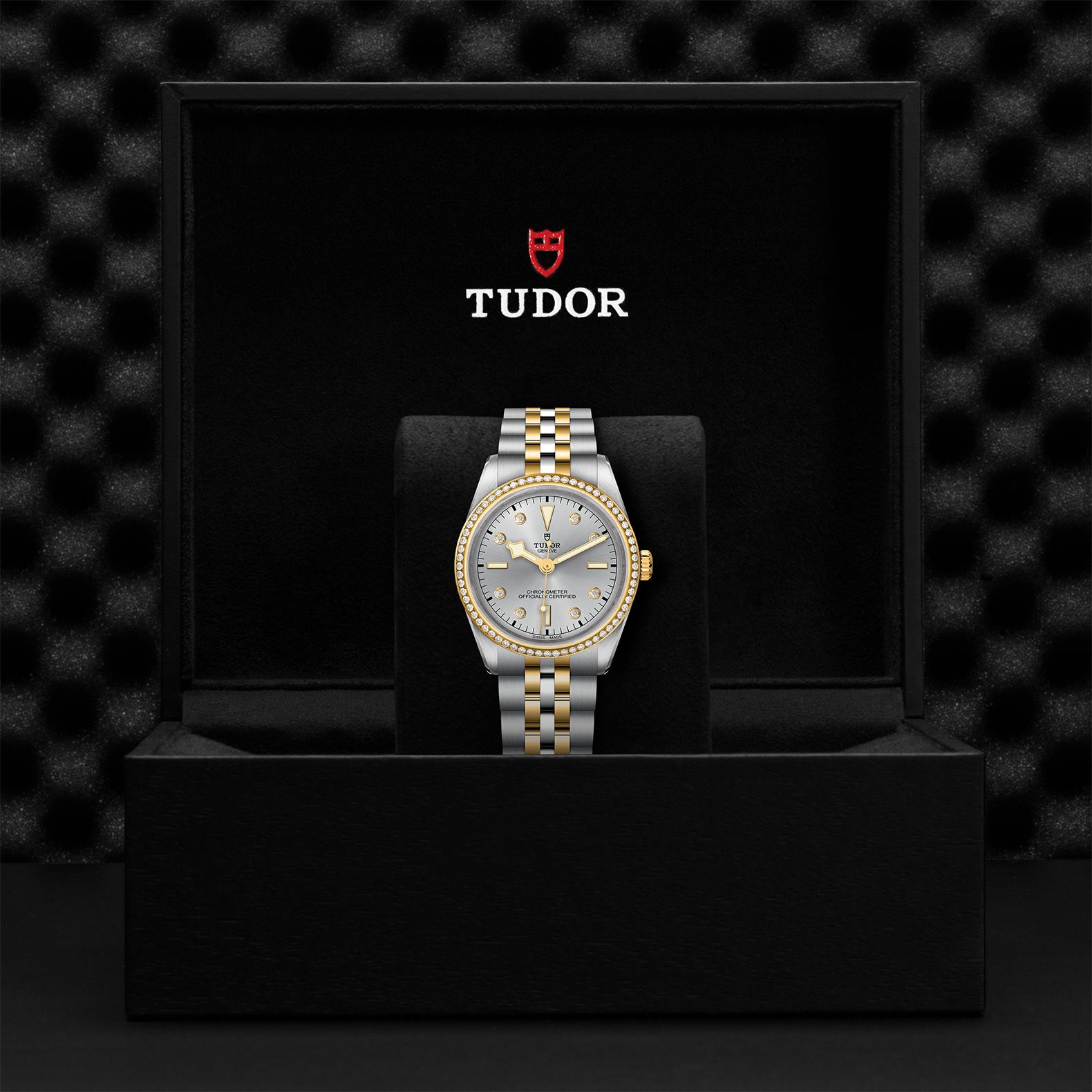 TUDOR Watch TUDOR Black Bay S&G 36mm Steel Case, Steel and Yellow Gold Strap (M79653-0006)