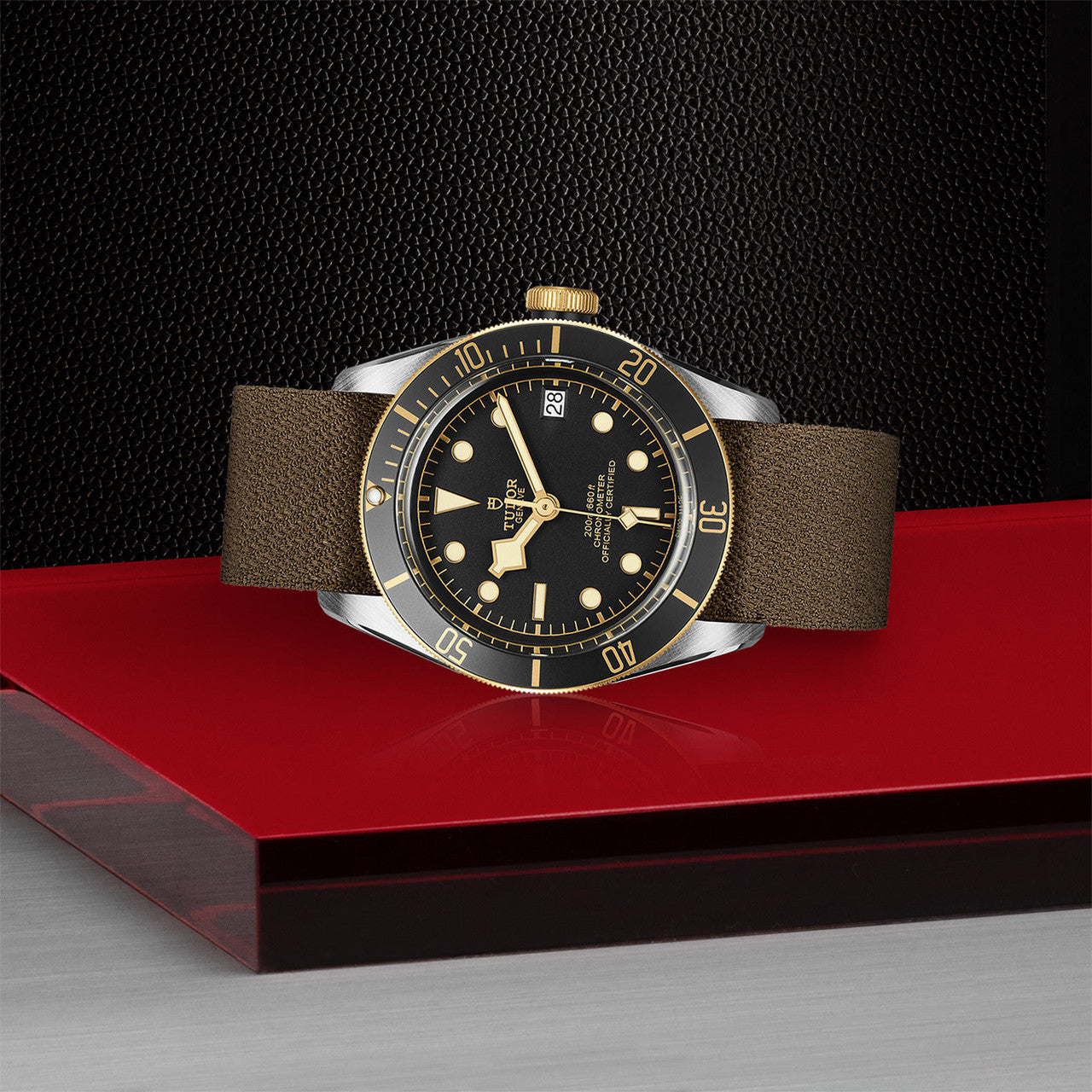 TUDOR Watch TUDOR Black Bay S&G Black Dial, Fabric Strap (M79733N-0005)