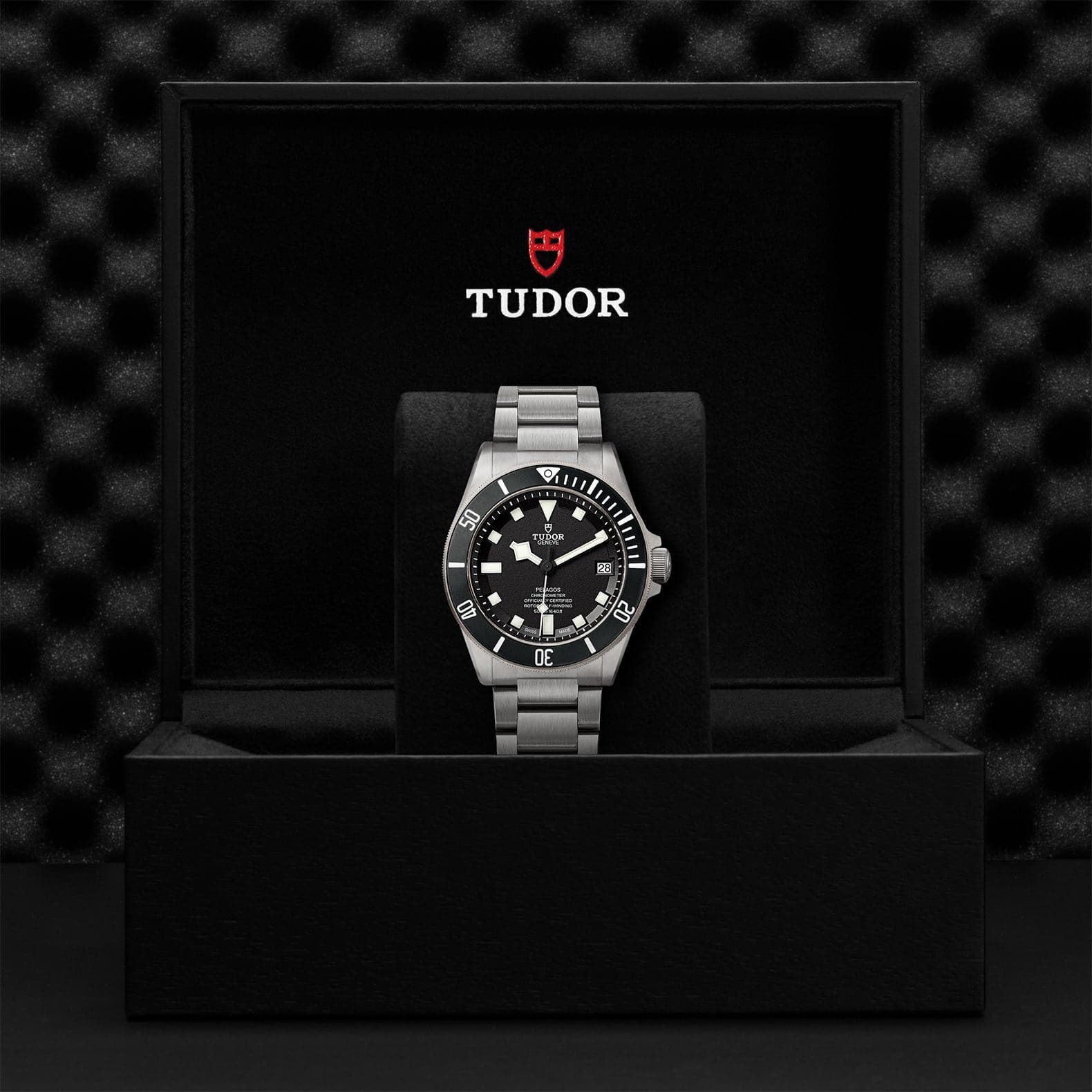 TUDOR Watch TUDOR Pelagos 42mm Titanium and Steel Case, Titanium Bracelet (M25600TN-0001)