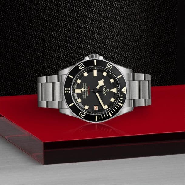 TUDOR Watch TUDOR Pelagos 42mm Titanium and Steel Case, Titanium Bracelet (M25610TNL-0001)