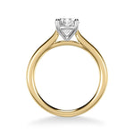 Sincerely Springer's Engagement Ring 14k Yellow Gold Round Solitaire Engagement Setting with White Gold Head 6.5mm / 6.5