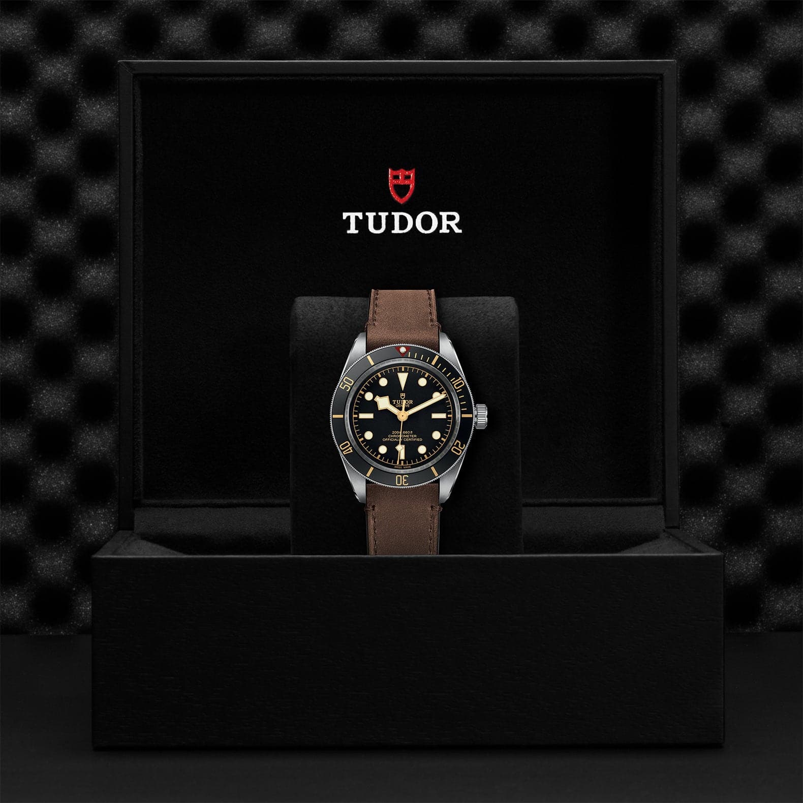 TUDOR Watch TUDOR Black Bay 58 39mm Case Black Dial Brown Leather Strap (79030N)