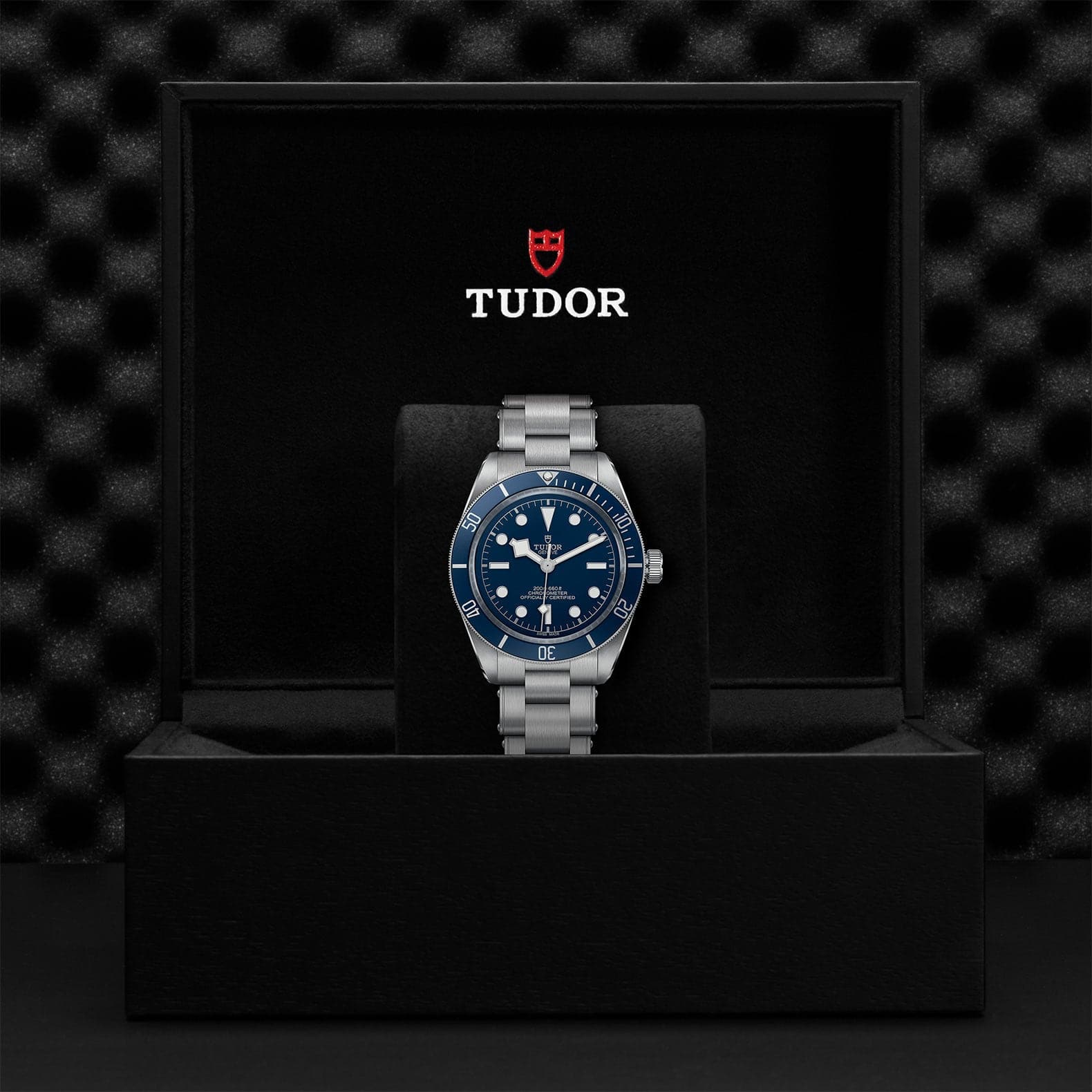 TUDOR Watch TUDOR Black Bay 58 39mm Case Blue Dial Steel Bracelet (79030B)